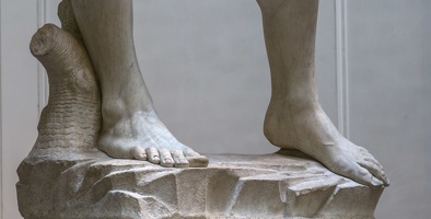 408-2482 IT - Firenze - Galleria dell'Accademia - Michelangelo - David (detail) 1501-04