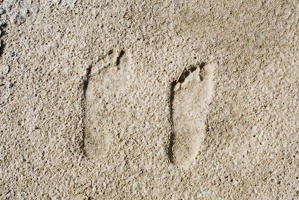 306_7120_NM_WSNM_Footprints.jpg