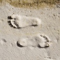 306_7192_NM_WSNM_Footprints.jpg