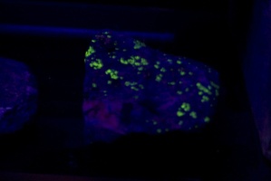 309-8609-Baxter-Springs-Museum-UV-Fluorescent-Minerals.jpg