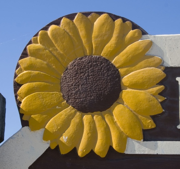 309-9398-Sunflower.jpg