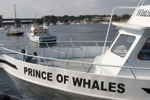 308-8695-Prince-of-Whales.jpg