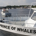 308-8695-Prince-of-Whales.jpg