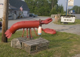 309-0140-Live-Maine-Lobster.jpg