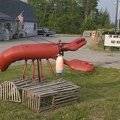 309-0140-Live-Maine-Lobster.jpg