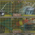 309-2654-Stacked-Lobster-Traps.jpg
