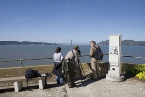 307-9147-SF-Alcatraz-Birding
