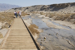 310-2594-Death-Valley-Salt-Creek-Nature-Trail.jpg