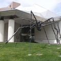 20030415-1176-Spider-1280x1024
