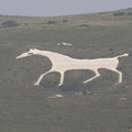 404-3279 Wiltshire White Horse