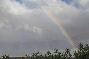 407-1378 Borrego Springs Rainbow