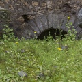 407-4230 IT - Pompeii - Wildflowers