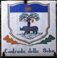 408-1578 IT - Siena - Contrada della Selva
