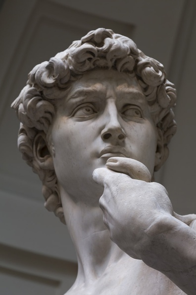 408-2515 IT - Firenze - Galleria dell'Accademia - Michelangelo - David (detail) 1501-04.jpg