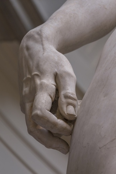 408-2551 IT - Firenze - Galleria dell'Accademia - Michelangelo - David 1501-04 (detail) .jpg