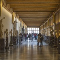 408-3029 IT - Firenze - Uffizi Gallery - I Corridor