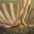 408-3232 IT - Firenze - Uffizi Gallery - Botticelli - The Birth of Venus (detail) 1483-85