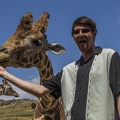408-9031 Safari Park - Feeding Giraffe - Casey