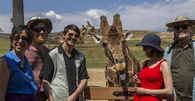 408-9131 Safari Park - Feeding Giraffe - Lynne Thomas Casey Lucy Richard