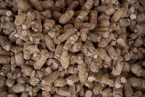 307-6954-SF-Chinatown-Ginger-Root