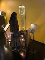 307-8058-SF-Exploratorium