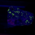 309-8609-Baxter-Springs-Museum-UV-Fluorescent-Minerals.jpg