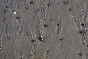 308-9151-Rocks-in-Sand.jpg