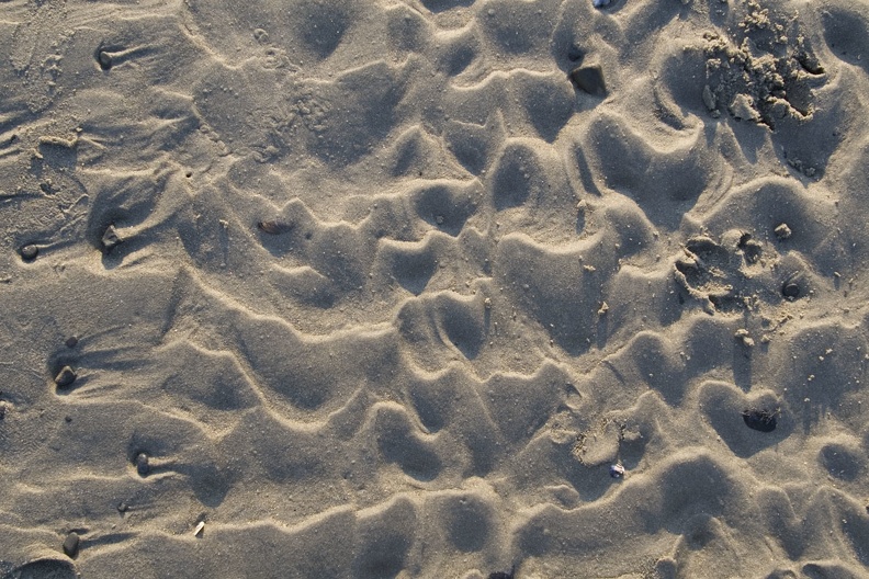 308-9234-Sand-Ripples.jpg