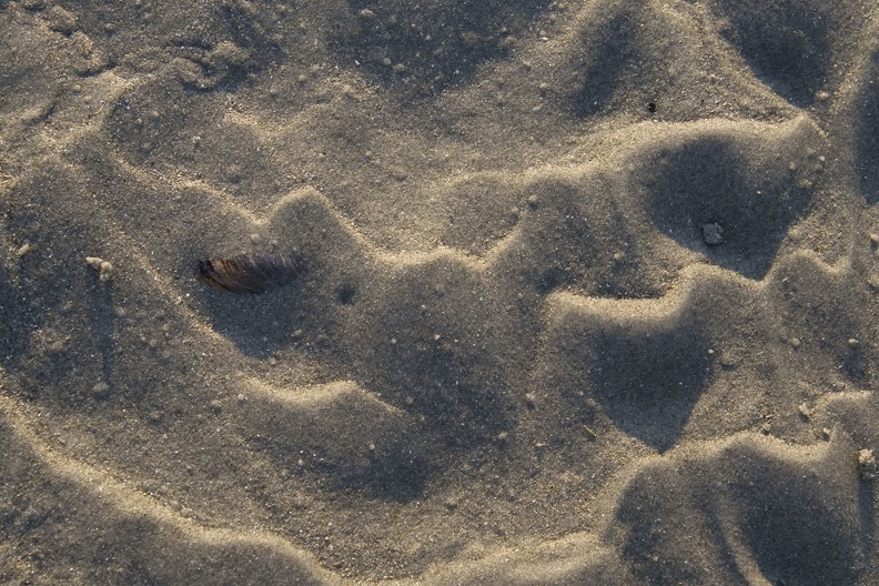 308-9236-Sand.jpg