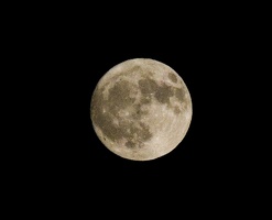 309-2437-Moon.jpg