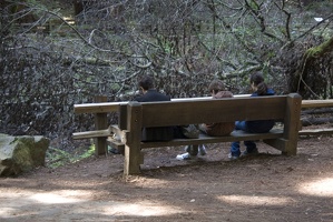 307-7476-Muir-Woods-Family-on-Bench