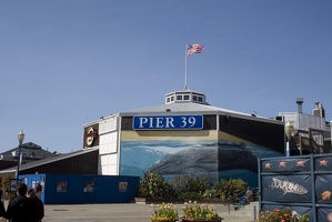 307-9515-SF-Pier-39