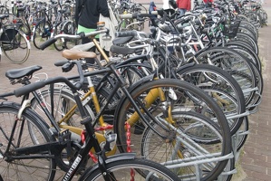 311-8286 Amsterdam - Bicycles