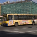 311-5719 St. Petersburg - Bus