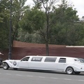 311-5827 St. Petersburg - Peter and Paul - Limousine