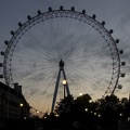310-8518 The London Eye