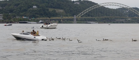 312-0042 Pittsburgh - River