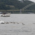 312-0042 Pittsburgh - River