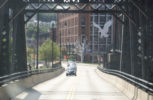 312-1210-Pittsburgh-Hawk-Tree-Bridge.jpg