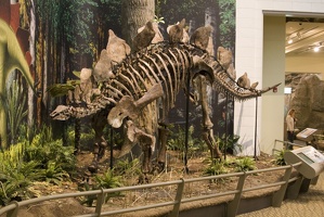 312-1506 Segosaurus