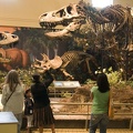 312-1527-Pittsburgh-CMNH-Tyrannosaurus-Rex.jpg