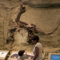 312-1587 Dinosaur National Monument