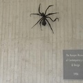 20030415-1161-Kemper-Spider-1280x1024