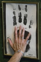 403-2719 Madison - Henry Vilas Zoo - Orangutan Handprint