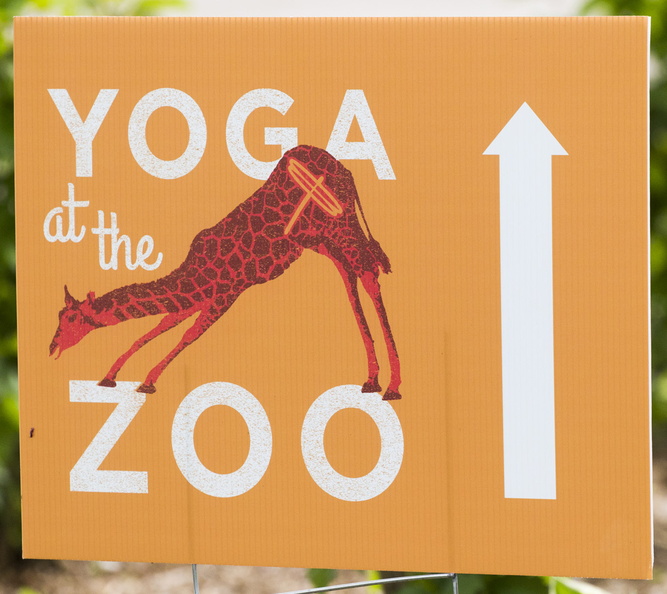403-2747 Madison - Henry Vilas Zoo - Yoga.jpg