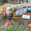 403-2907 Madison - Henry Vilas Zoo - Ty the Tiger