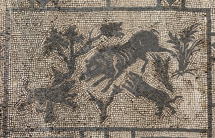 407-4134 IT - Pompeii - Mosaic in Entryway of Villa - Dogs and Wild Boar - VIII.3.8 