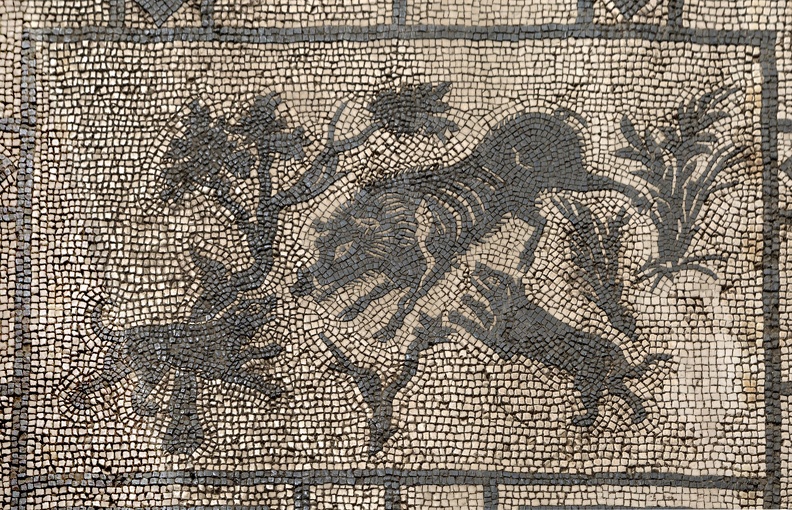 407-4134 IT - Pompeii - Mosaic in Entryway of Villa - Dogs and Wild Boar - VIII.3.8 .jpg