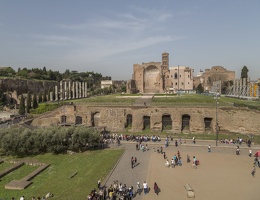 407-5911 IT - Roma - Temple of Venus and Rome