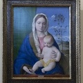 407-6640 IT - Roma - Galleria Borghese - Bellini - Madonna and Child c 1510